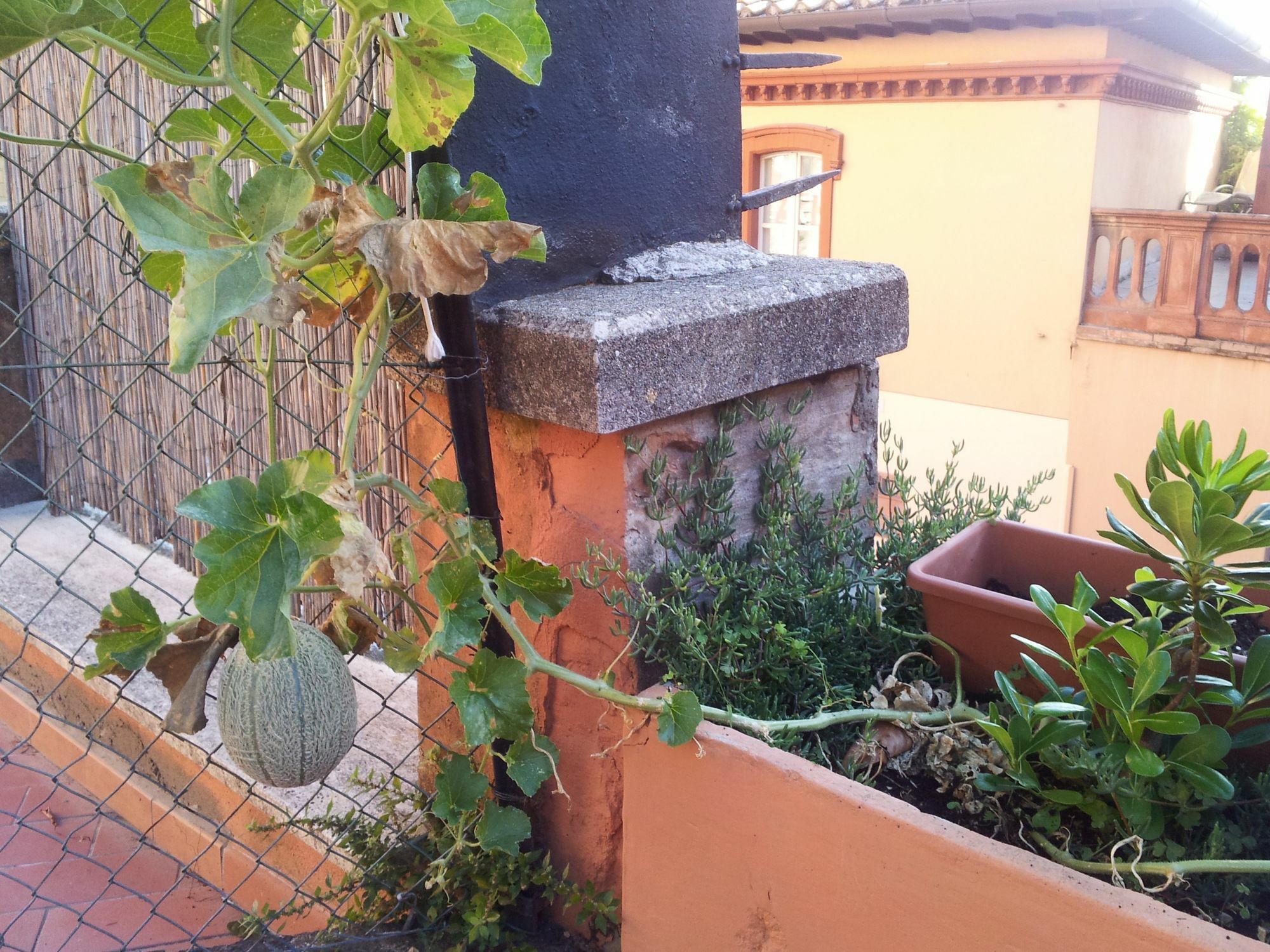 Bed and Breakfast Al Giardino Di Alice Perugia Exterior foto